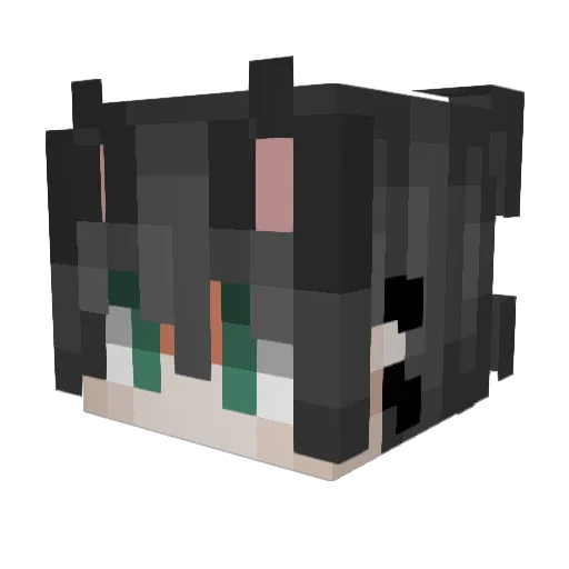 Meowlen Minecraft avatar head, 3D render