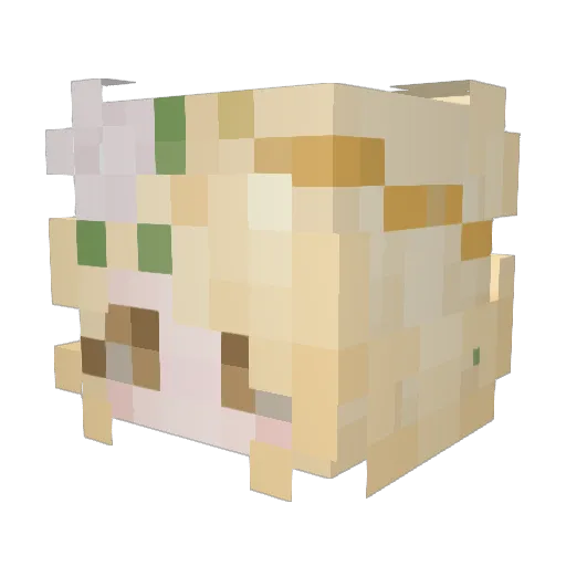 Meowlicious Minecraft avatar head, 3D render