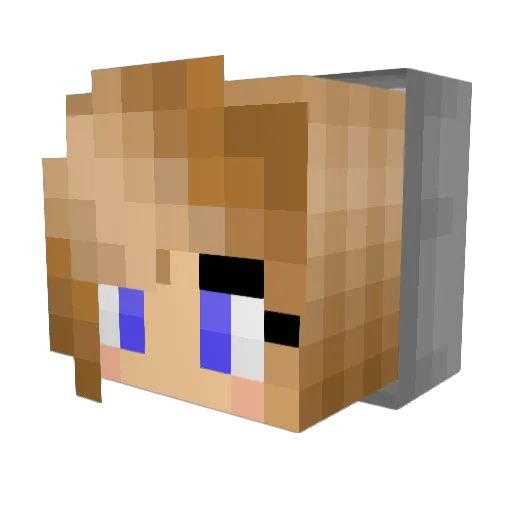 Meowmaster323 Minecraft avatar head, 3D render