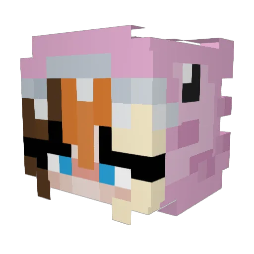 Meowologist Minecraft avatar head, 3D render
