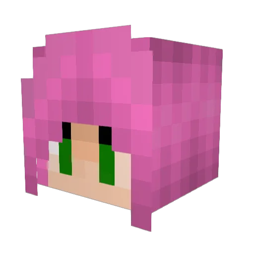 Meows0n Minecraft avatar head, 3D render