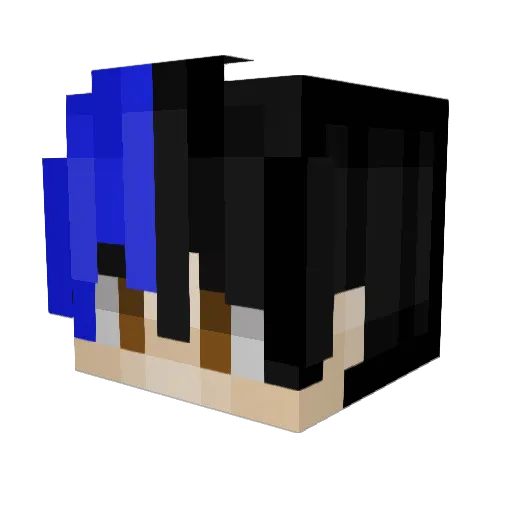 Meowscarada_Req Minecraft avatar head, 3D render