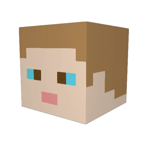 Meowsername Minecraft avatar head, 3D render
