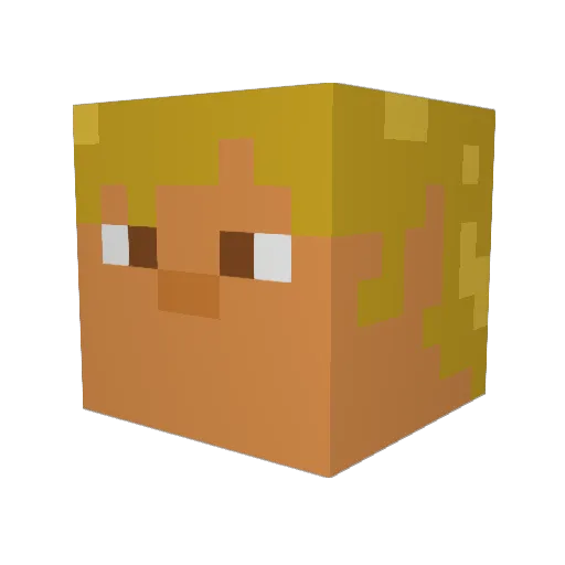 Meowships Minecraft avatar head, 3D render