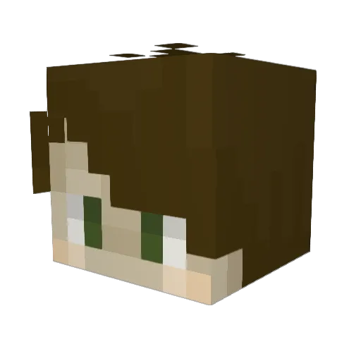 Meowshua Minecraft avatar head, 3D render