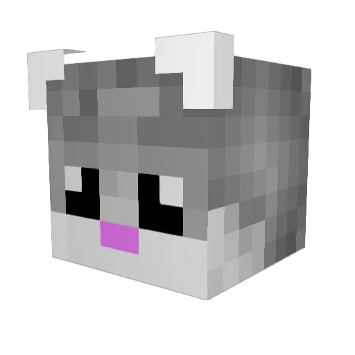 Meowsiekins Minecraft avatar head, 3D render