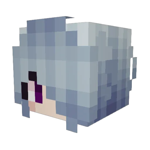 Meowsleepy Minecraft avatar head, 3D render