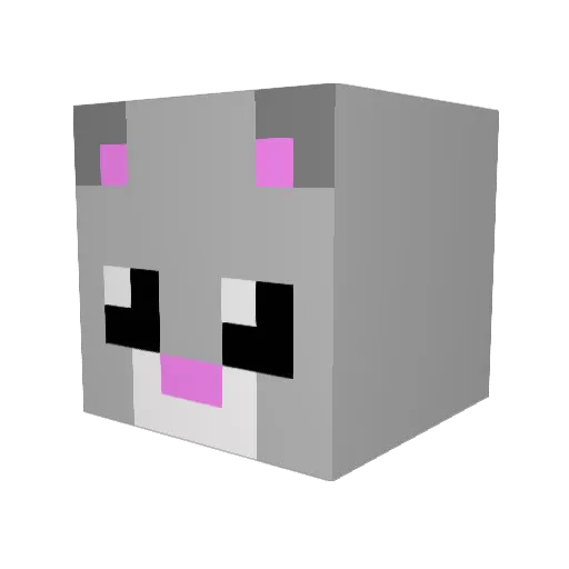 Meowtart27 Minecraft avatar head, 3D render