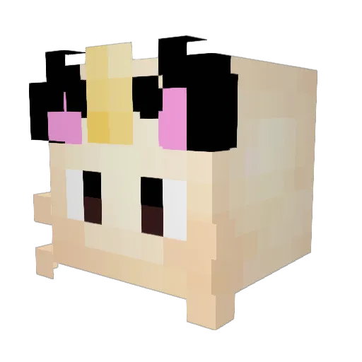 MeowthDaFirma Minecraft avatar head, 3D render