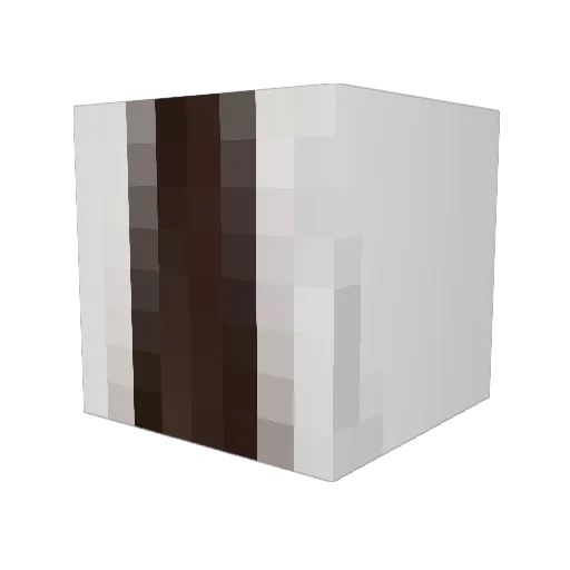 Meowy777 Minecraft avatar head, 3D render