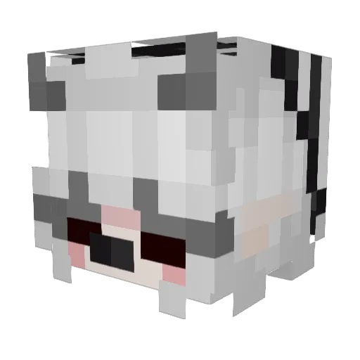 Meowzmerized Minecraft avatar head, 3D render
