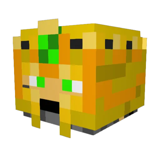 Meoxdide Minecraft avatar head, 3D render