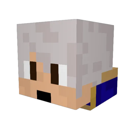 Mer1inGaming Minecraft avatar head, 3D render