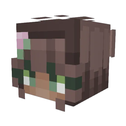 MerBear24 Minecraft avatar head, 3D render