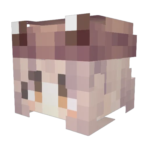 Meraami Minecraft avatar head, 3D render