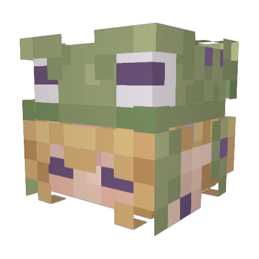 MerakiTsuki Minecraft avatar head, 3D render