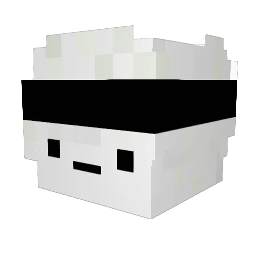 Mercenass Minecraft avatar head, 3D render