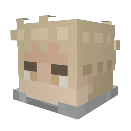 Mercook Minecraft avatar head, 3D render