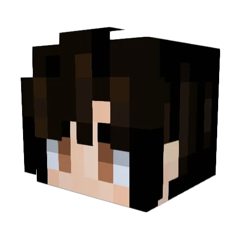MercuryCats Minecraft avatar head, 3D render