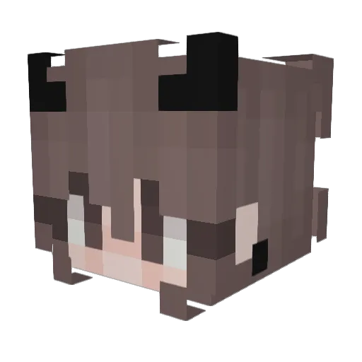 Mercy_M Minecraft avatar head, 3D render