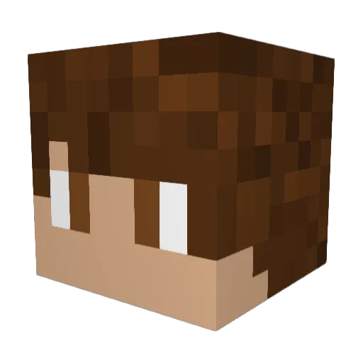 MeridianMitch Minecraft avatar head, 3D render