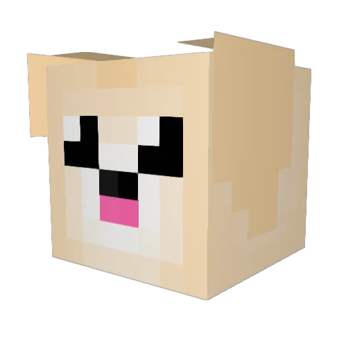 Merijn2008 Minecraft avatar head, 3D render