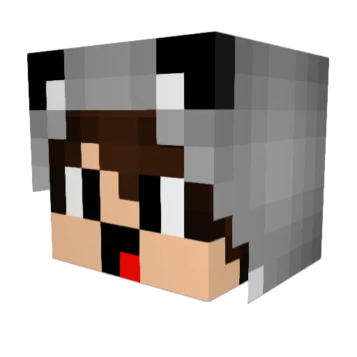 Merion_ Minecraft avatar head, 3D render