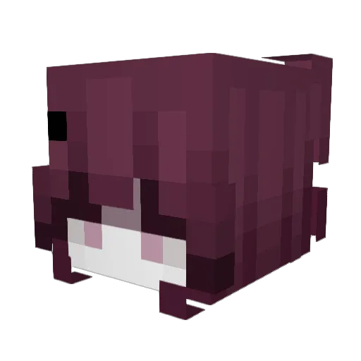 MerkyMiau Minecraft avatar head, 3D render