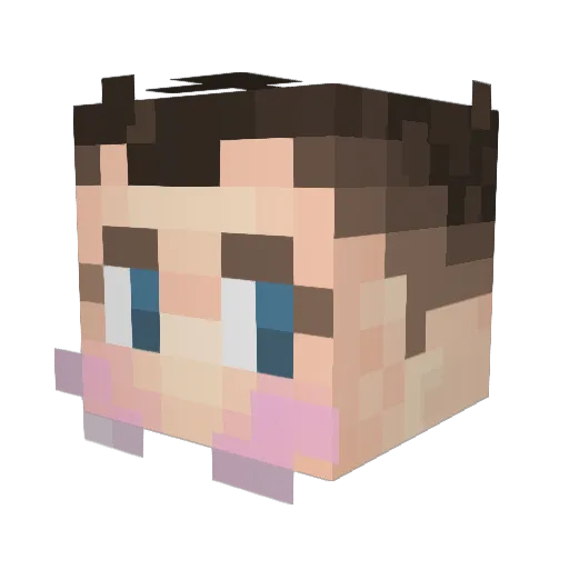 MerlinAsTheBird Minecraft avatar head, 3D render