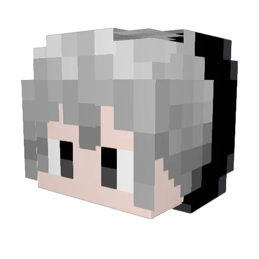 MerlinSink Minecraft avatar head, 3D render
