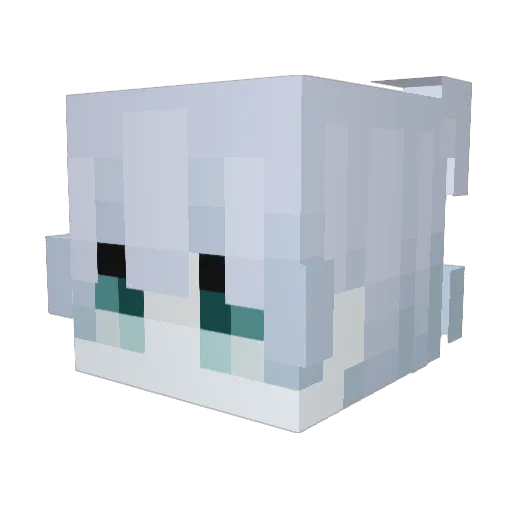 Merlinpinpin41 Minecraft avatar head, 3D render