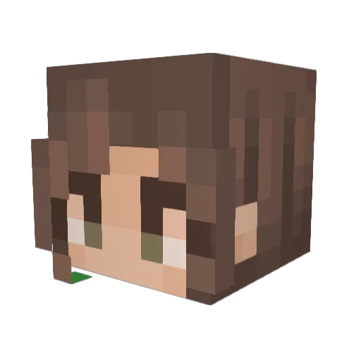 Mernemern Minecraft avatar head, 3D render