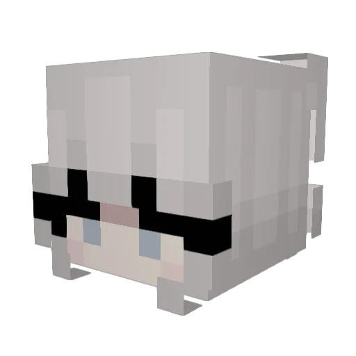 MeroFluf Minecraft avatar head, 3D render