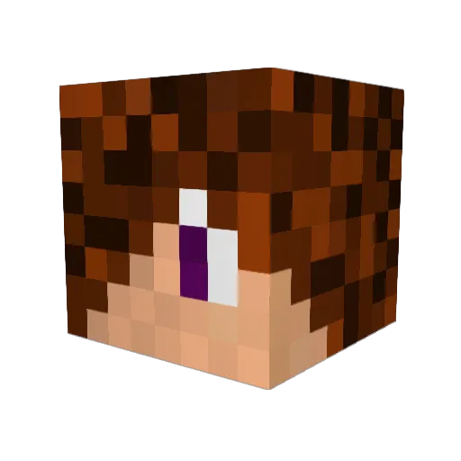 Meroborosi Minecraft avatar head, 3D render