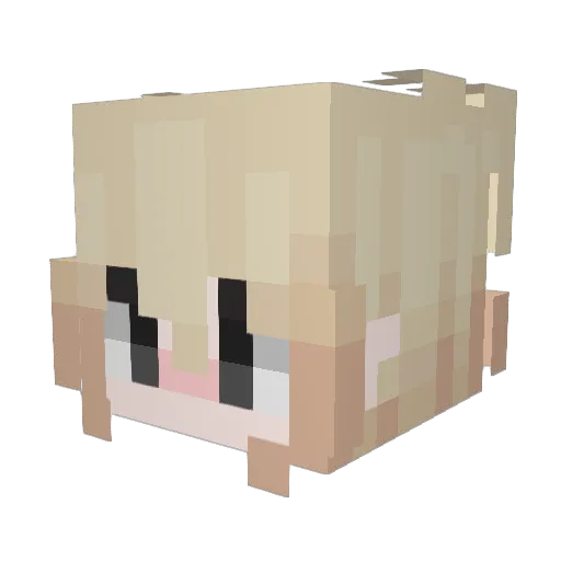 Meroboxplaier Minecraft avatar head, 3D render