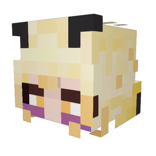 Merochibee Minecraft avatar head, 3D render