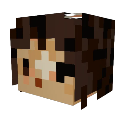 Meronspace Minecraft avatar head, 3D render