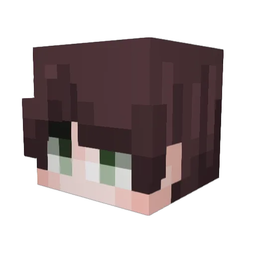 Merooe_ Minecraft avatar head, 3D render