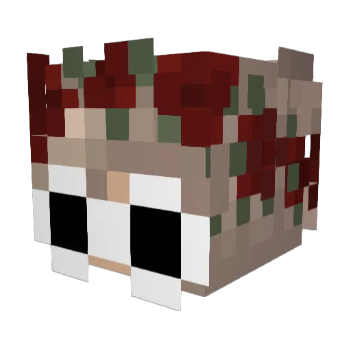 Merp_Gaby Minecraft avatar head, 3D render