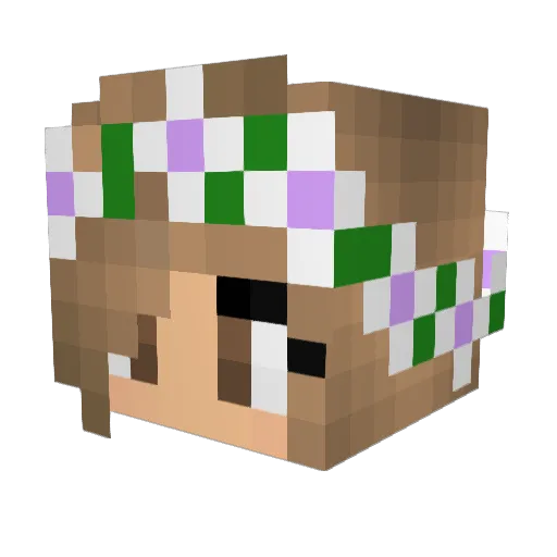 MerryCraft Minecraft avatar head, 3D render