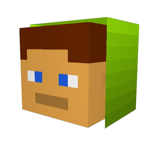 Mersey_ Minecraft avatar head, 3D render
