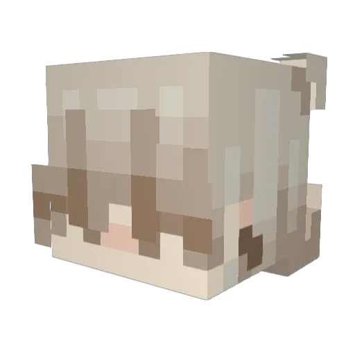 Merto19 Minecraft avatar head, 3D render