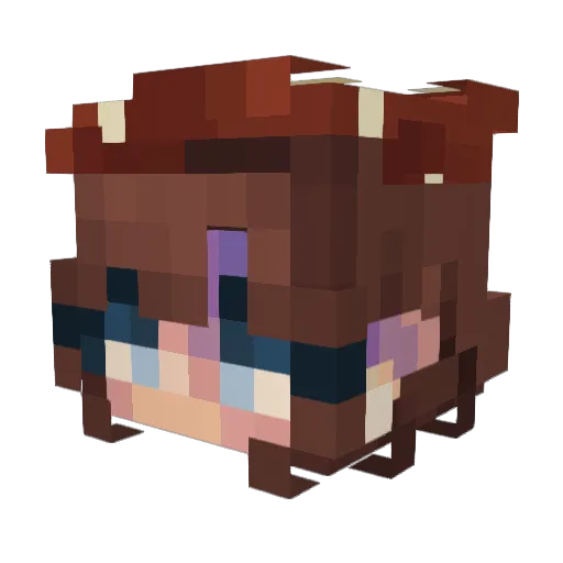 Merx9 Minecraft avatar head, 3D render