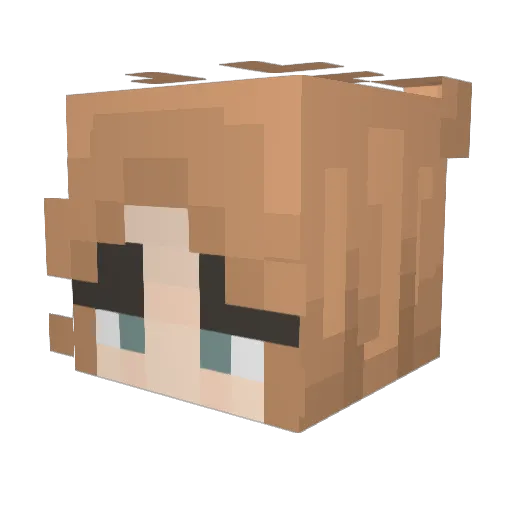Meskaitis Minecraft avatar head, 3D render