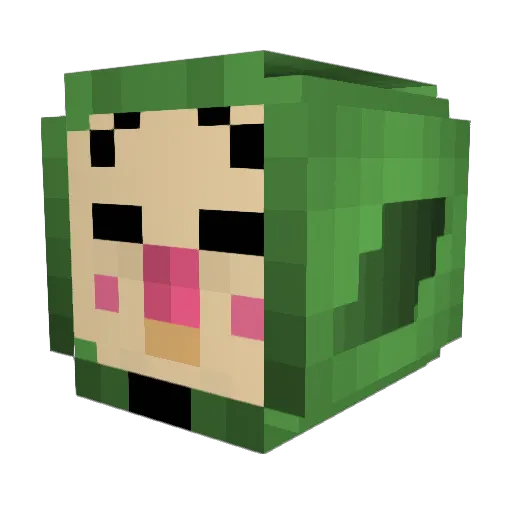 Mesmerizerr Minecraft avatar head, 3D render