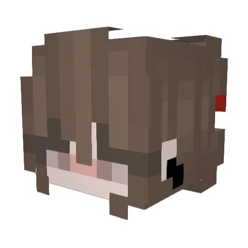 MessiDoBrasil Minecraft avatar head, 3D render