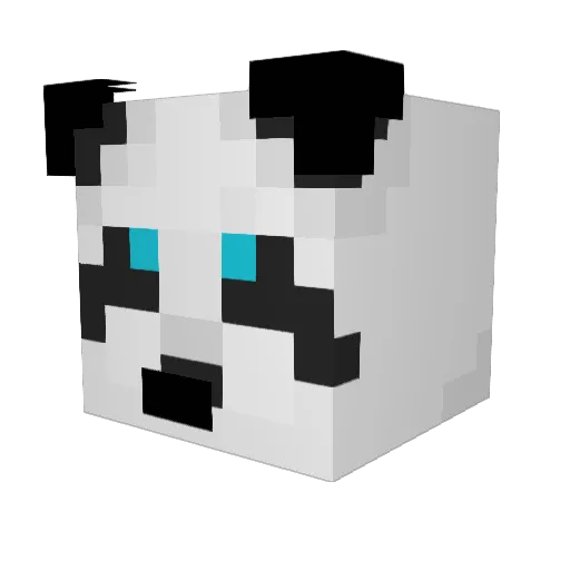 MessicanPanda Minecraft avatar head, 3D render