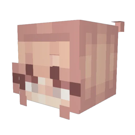 Messip Minecraft avatar head, 3D render