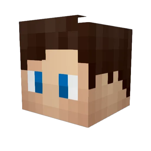 MessyTurkey Minecraft avatar head, 3D render