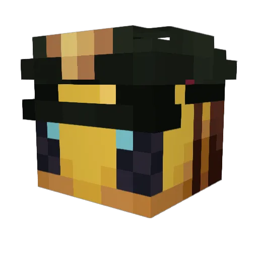 Messycheetah24 Minecraft avatar head, 3D render